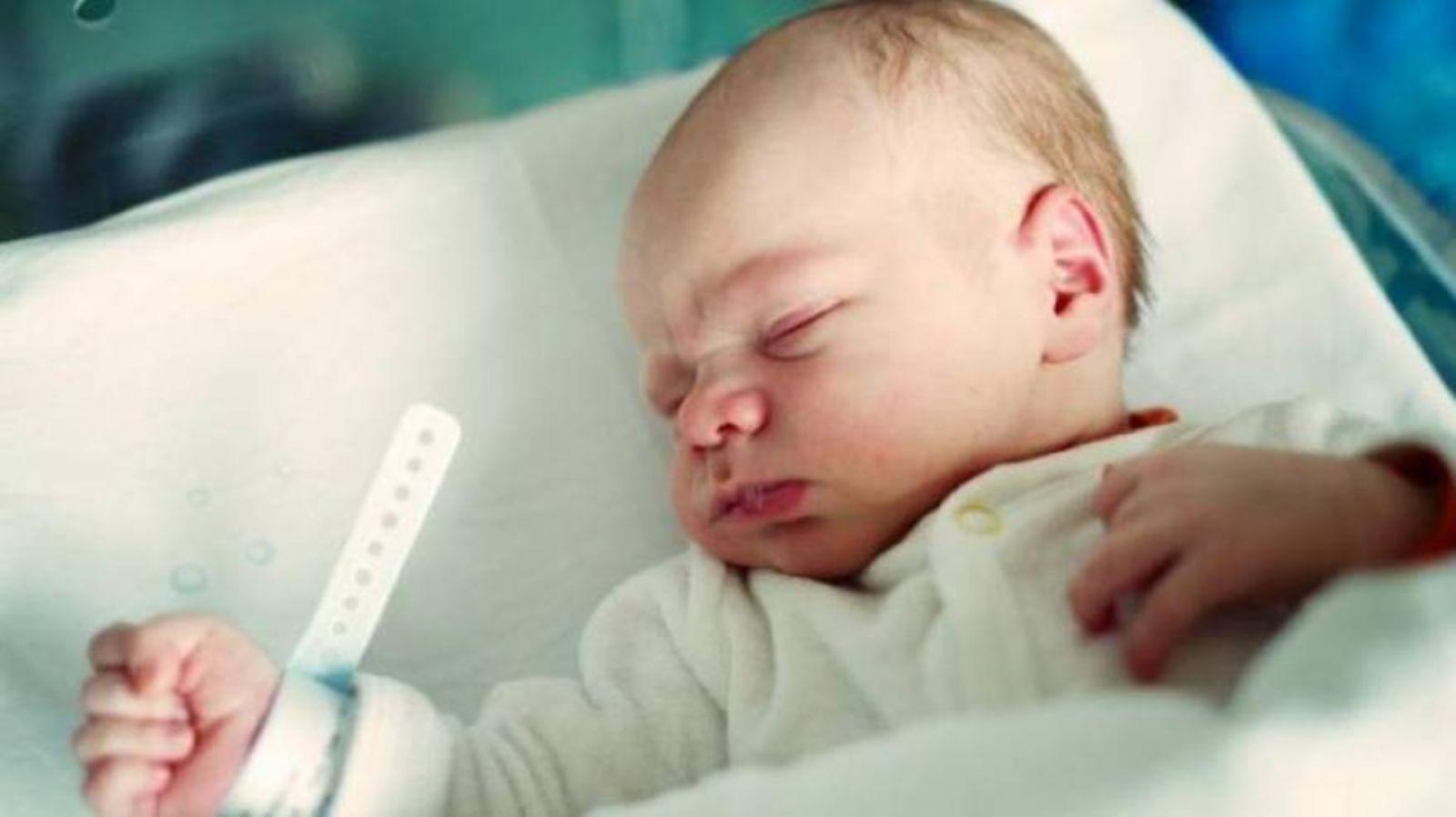 ��������: ����� ����� �������� �������� ���� ���� �������