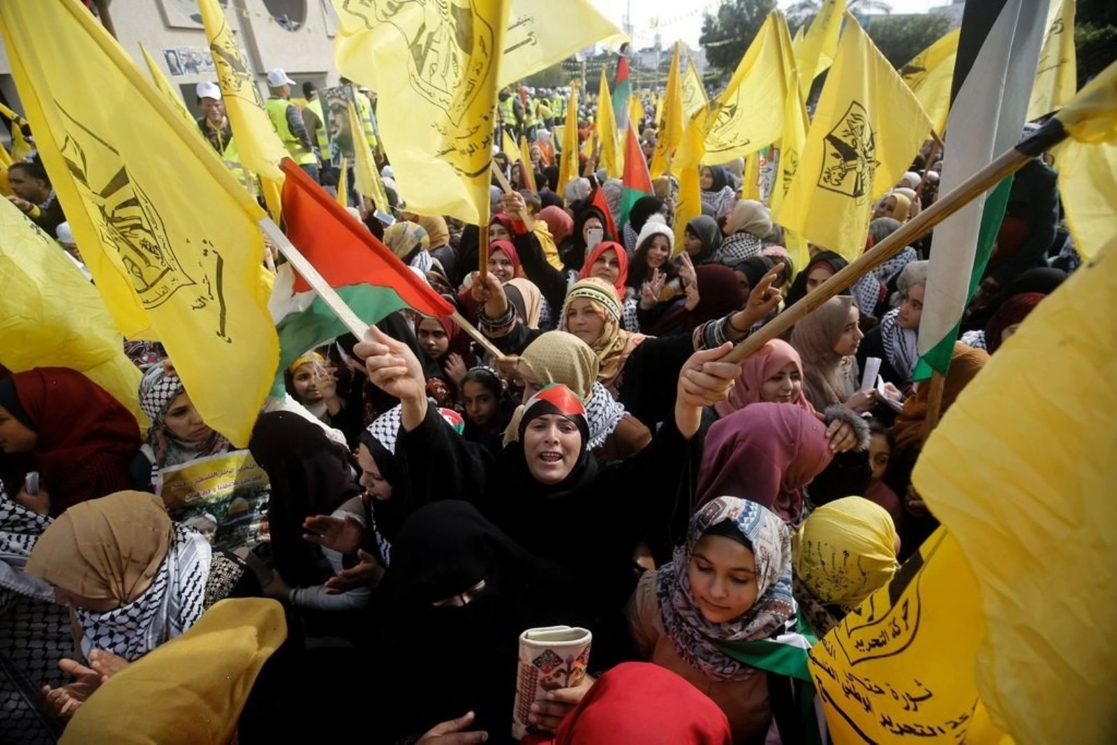 "���" ����� ���������� ��� 55 ������� ������� ����