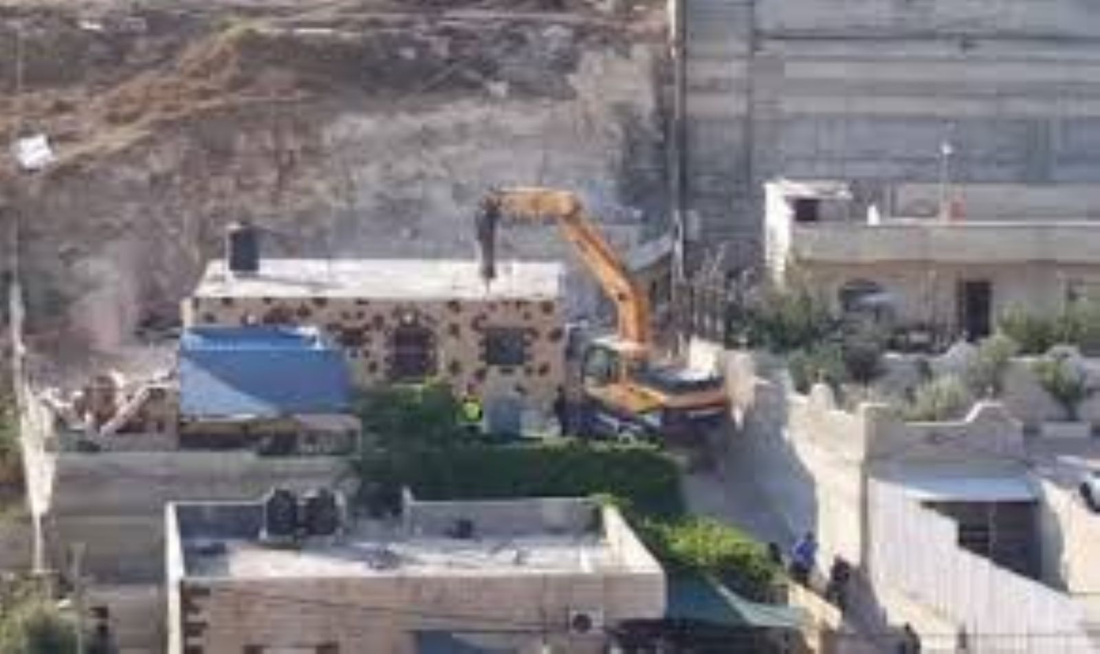 �������� ���� ���� ����� ��� ����� ������