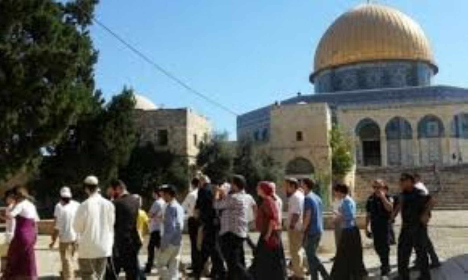 ���� �� 29 ��� ������ ������� ������ ���� 2019