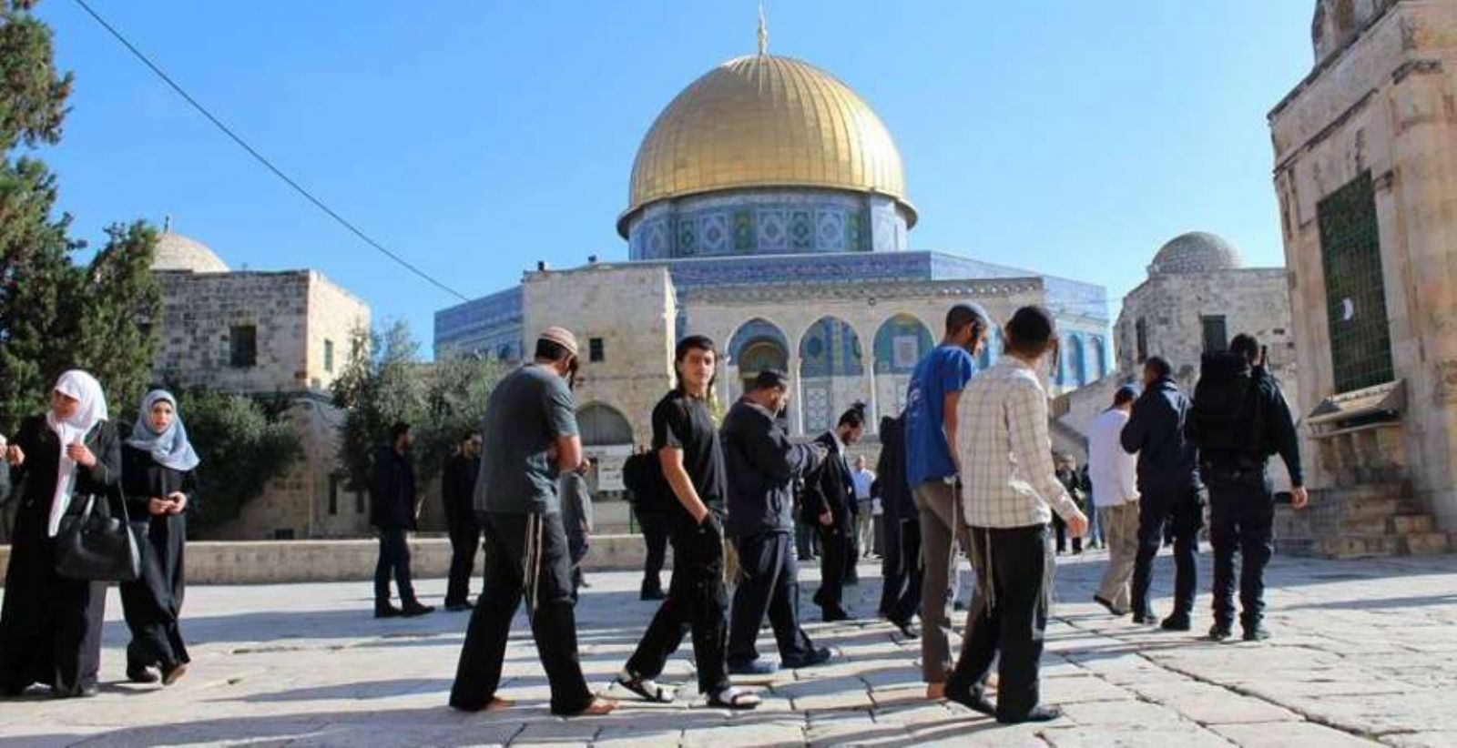 114 �������� ������� ������ ������