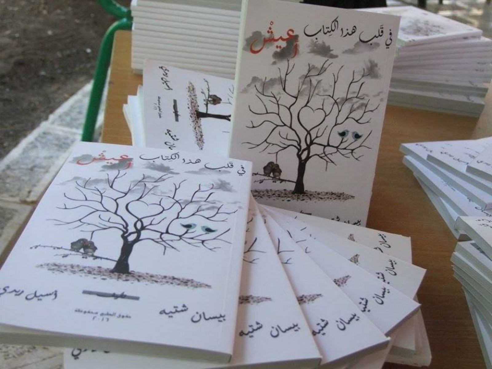 "����� ���" ���� ������� ������ ������ �������