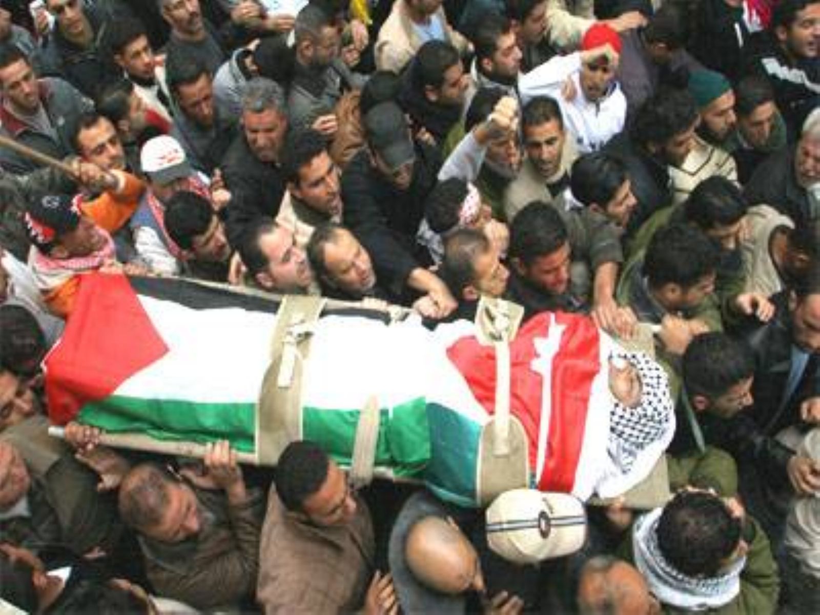 ������� ����� ������� ������� ����� �������� ��� ��� ���