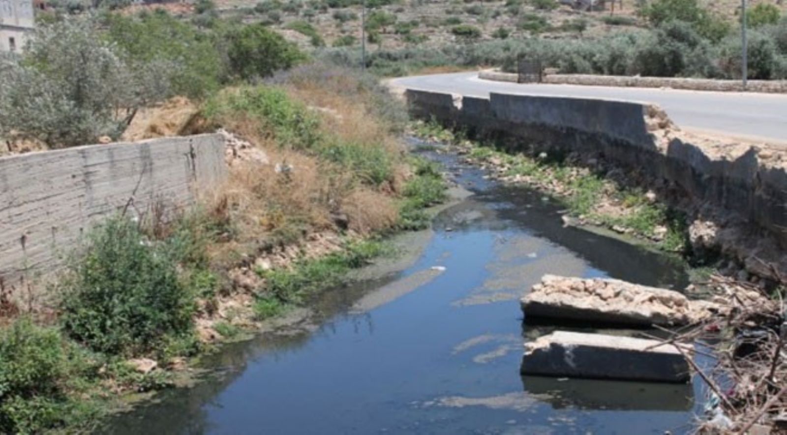 ������ ����� ����� ���� ������ ���� ����� ����������