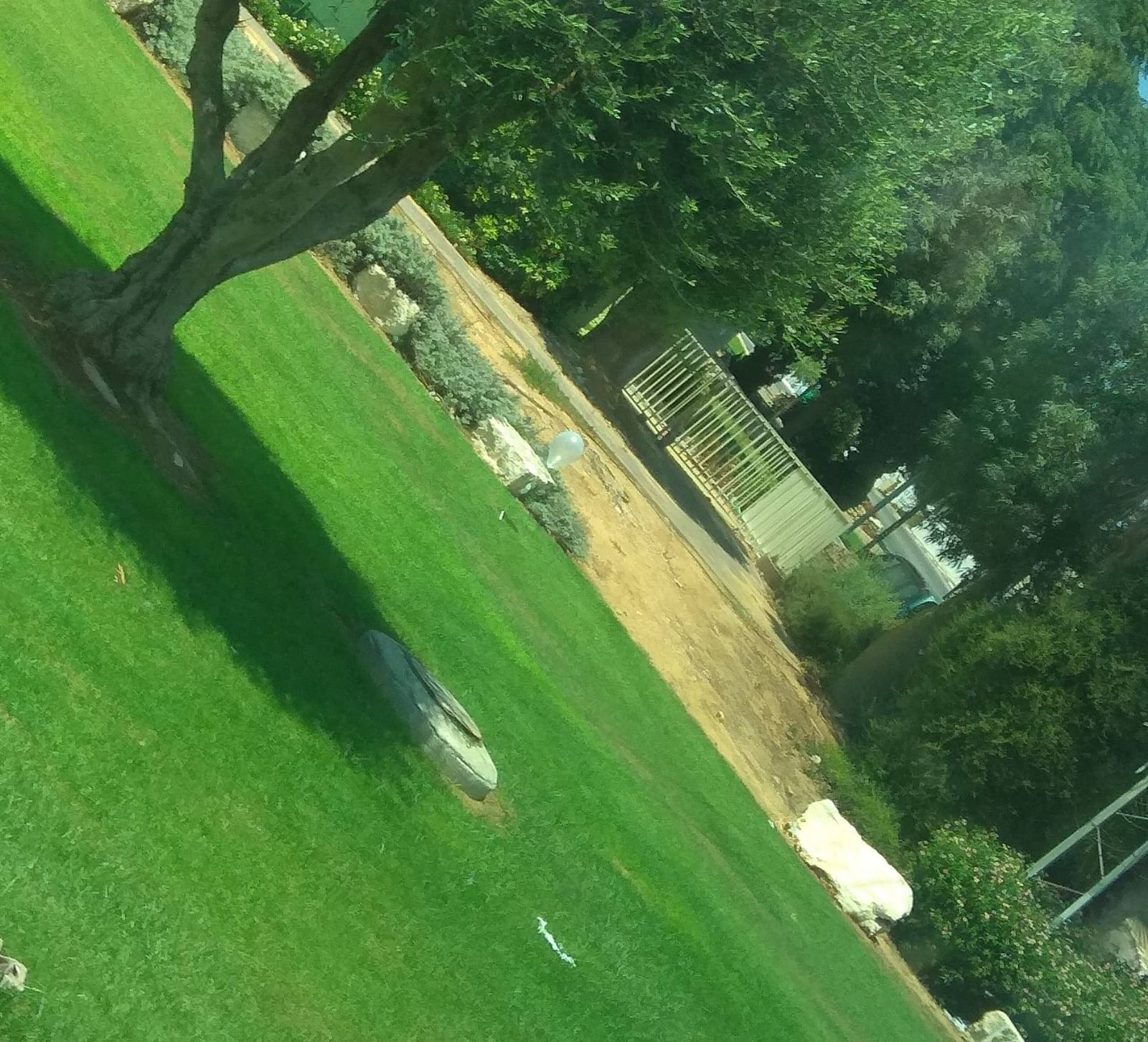 �������� ���� ���� ����� ������� �������� ������