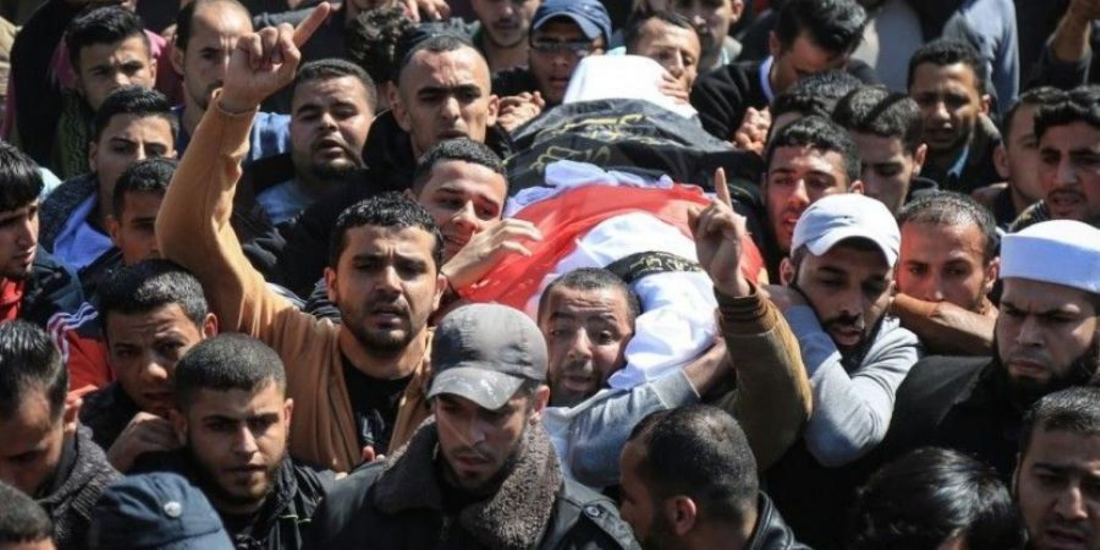 ���� ������ ������ ���� ���� ���