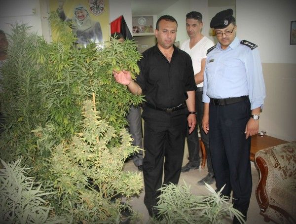 ��� ���� �������� ��� ������ ��� ��� 