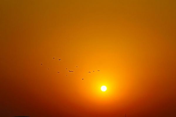  ��� ������ ������ ������ ��� ����