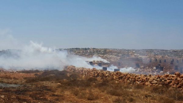 ������ ������� ������� ������ ���� ������� �� ���� 