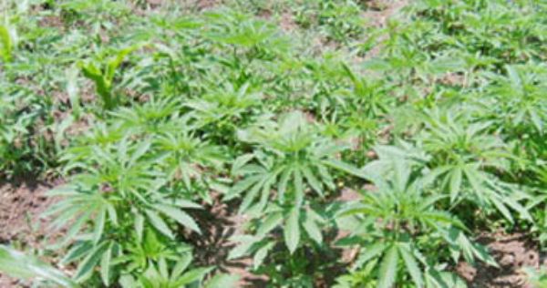 ������ ���� 27��� �������� �� ����� �����