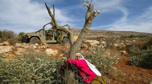 ���� �������� ������� ������ ���� �� ���� ������� ��� ������ ������