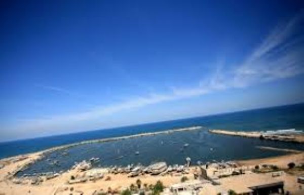 �� ��� ��� ���� ��� �������