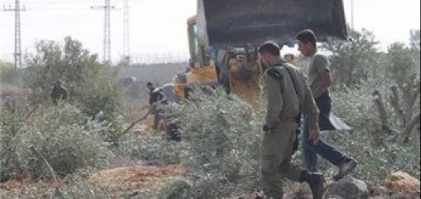 �������"��� ����" ������ 200 ���� ��� �����