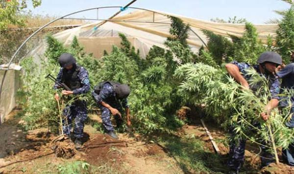 ������ ���� ����� "��������" �� �����