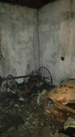  ������ ���� �� ���� ���� ����