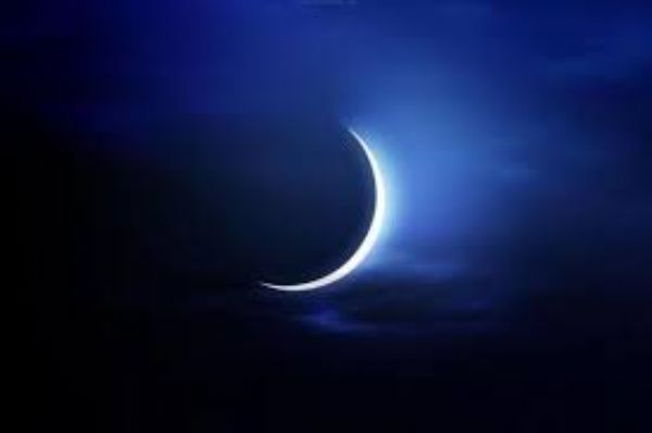 ���� ���� ���� �� ����� ������ ������ 24 ������