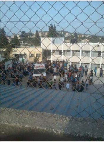 ���� ���� ����� ���� ������ �������� �� ������ ������ �������