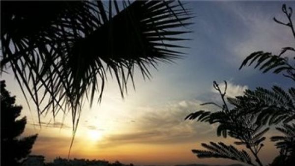 ����� ���� ����� ����� ����� ������