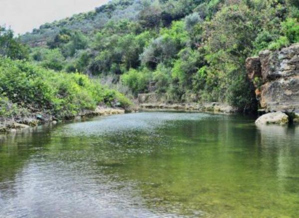 ������� "����" ��� ����� ������ ��� ����