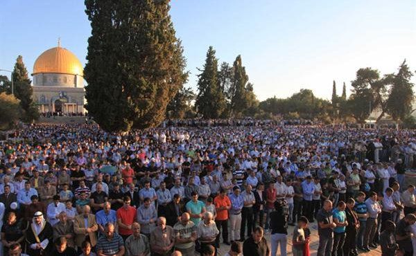 50 ��� ����� ����� ���� ����� �� ������ ������