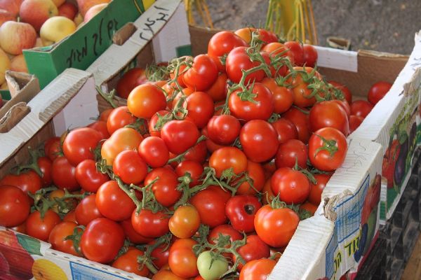 ����� �� ���� �������� �� ������� ������ �������