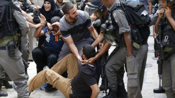 �����: 15 ���� �1200 ������ �������� ���� ����� ����