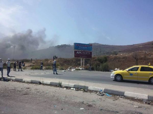 ���� �� 40 ����� ������� ���� ���� ��������� �� ����� �������