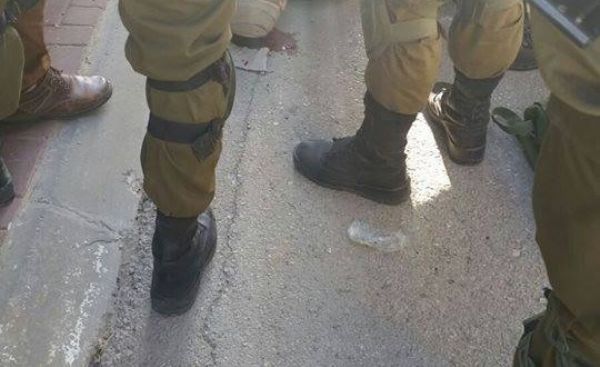 ������� ��� ����� ���������� �� ������