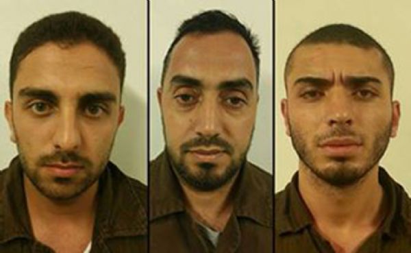 ������ ���� ����� ���� ���� ����� �������� �� ��� �������