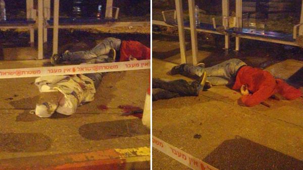 ������ ����� �������� ���� �������� ����� ��� ���� ��� ���