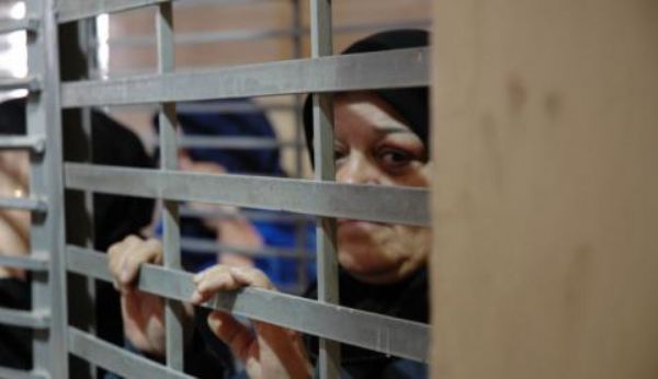 ������ ��� �������� �� ���� �������� ��� 41 �����