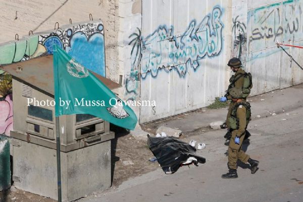 ���� ����� �������� �� ������