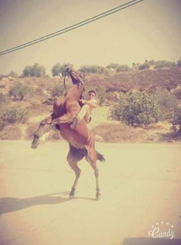  ������ ����� ���� �� ����� ��� ������ ���� ����� ����