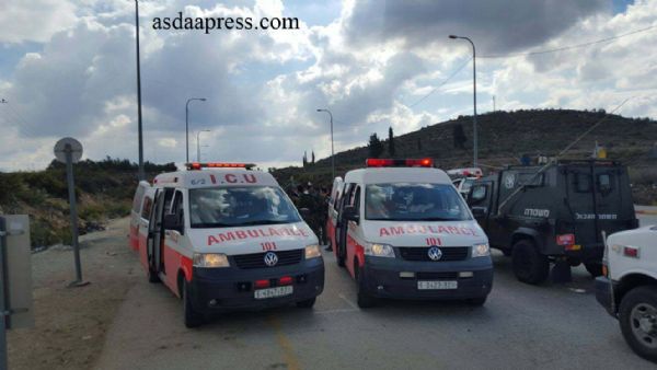  80 ������ ����� �� ����� ���� ���� ��� ����� �������