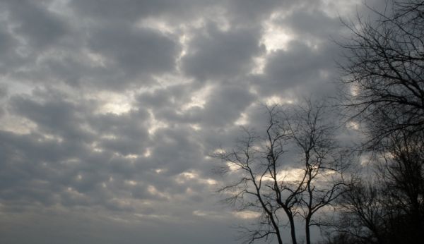 ���� ����� ����� 