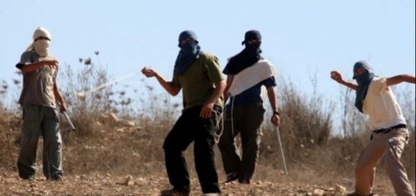 �������� ������ ������ ��������� �������� ���� ����