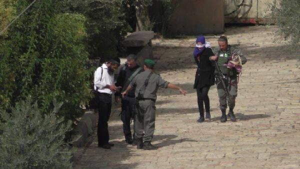 �������� ����� ���� ���� ������� ���� �� ������