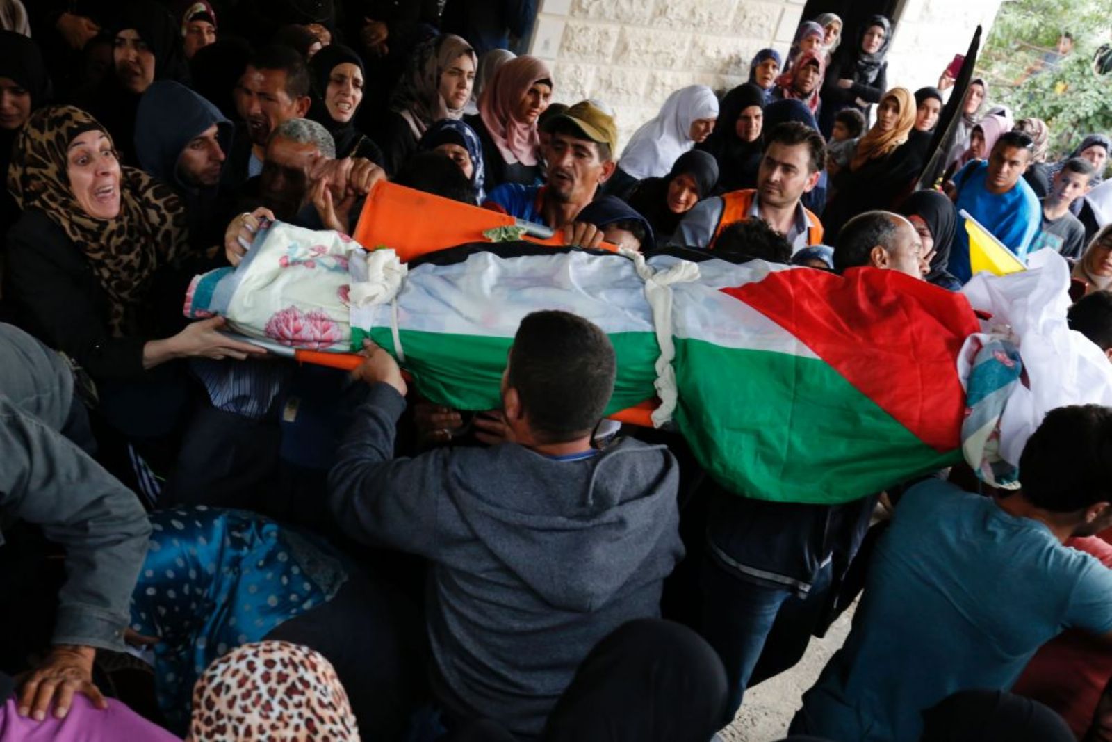 �������� ����� ������� ���� �� 120 ��� ������ �������