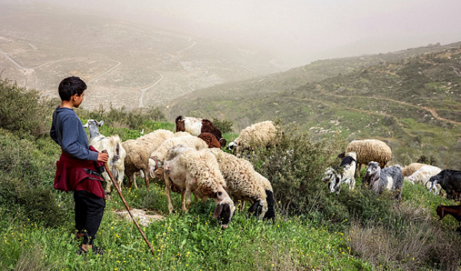 ������� ����������� ���� ������ ������� ������ ������� �������� ��� ����� ����