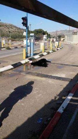 ����: ������� ���� ����� ���� �������� ��� ������