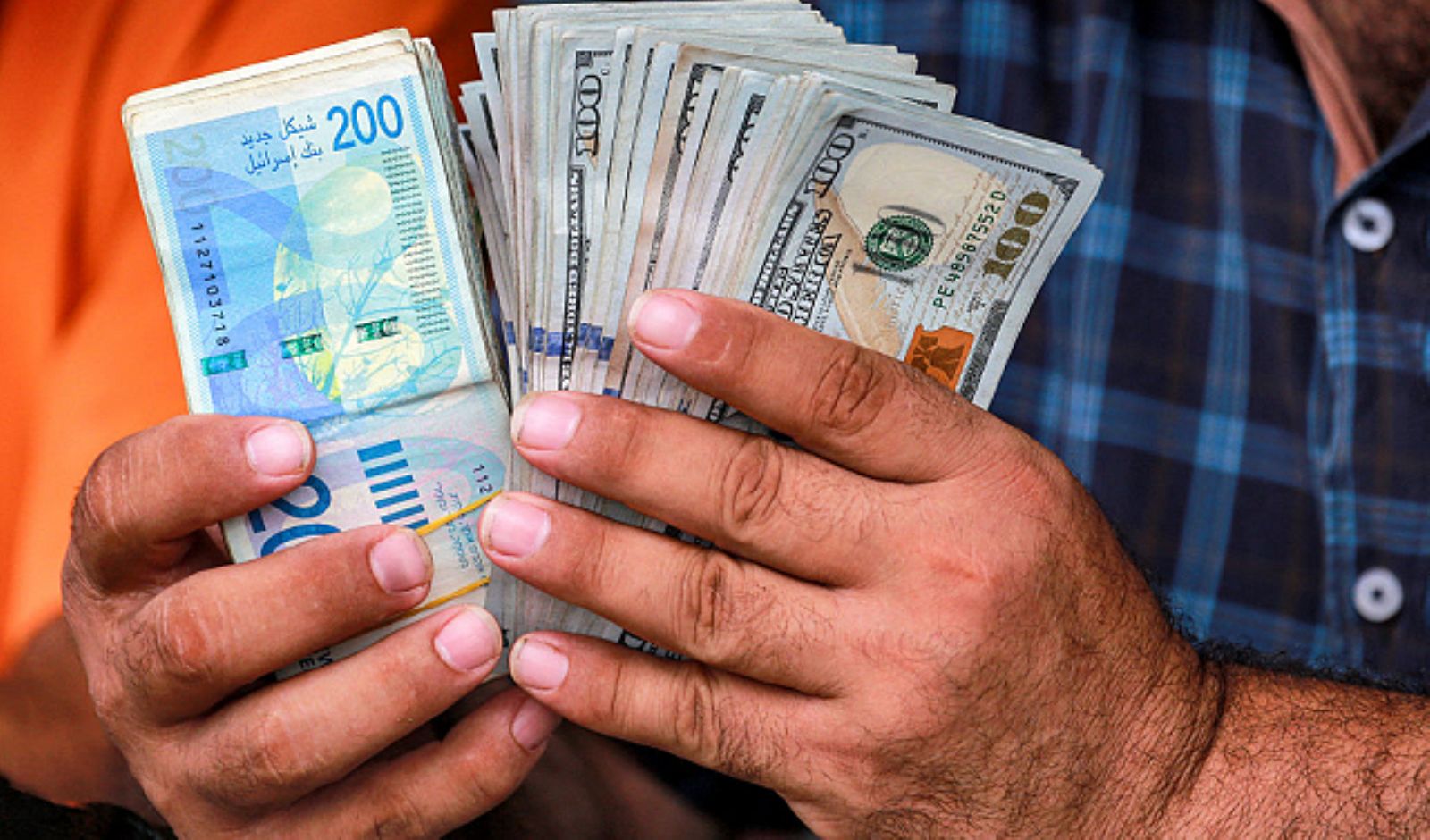 ����� ��� ��� ������� ����� ������ ��� ���� ��� ����� ��� 31 ����