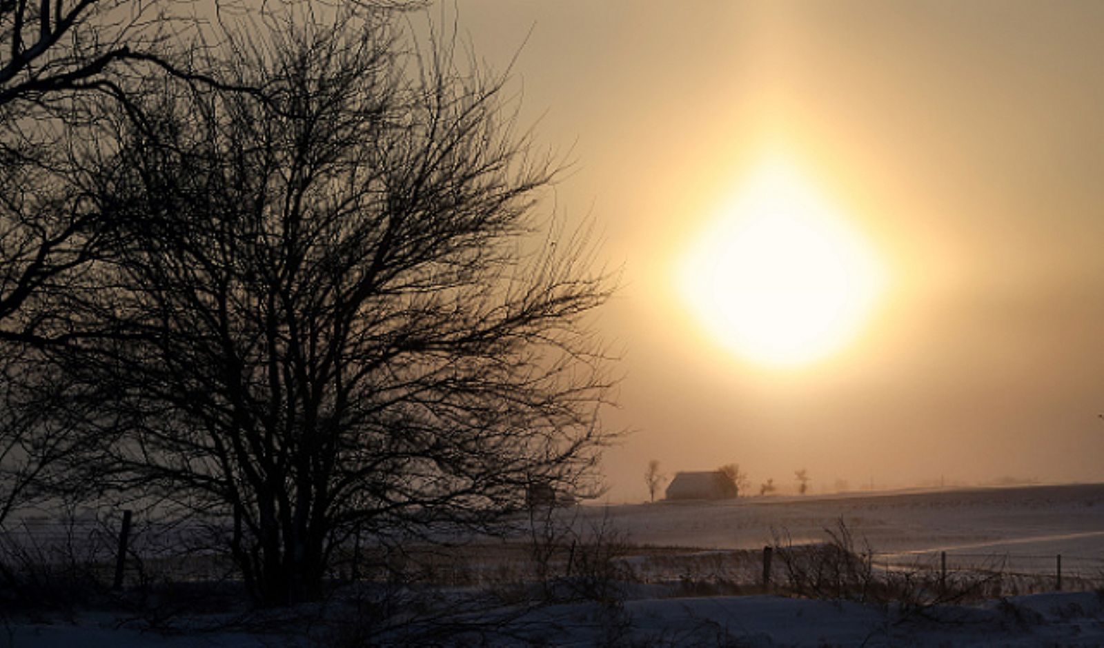 ���� �����: ����� �������� ���� ��� ������