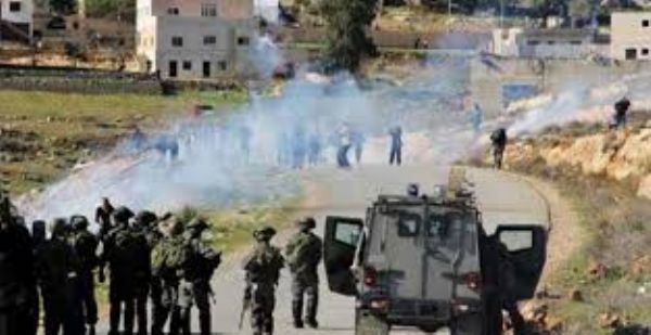 ����� 20 ����� ��� ���� ���� ��������� �������� �������