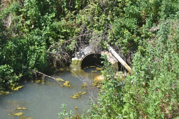 ���� ������ ������.. 15 ����� �� ������ ������� ������� ������� �� ����� �����!