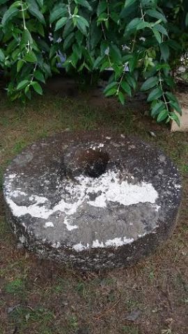  ������� �������: ������ ������ ����� �� ����� ��� ���� ����� ��������