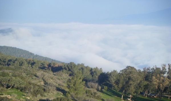 ��� ����� ������ ������ ��� ���� ������� �����㿿