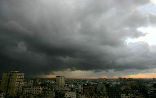 �����: ����� ����� ��������� ���� �������