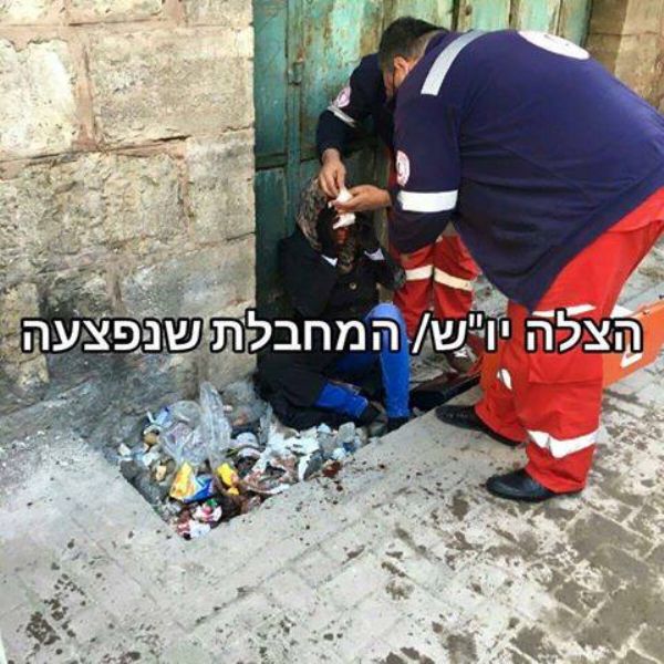 �������� ���� ���� ��� ���� "���������" �������