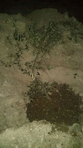 �������� ������ 45 ���� ����� �� ����� ������� 