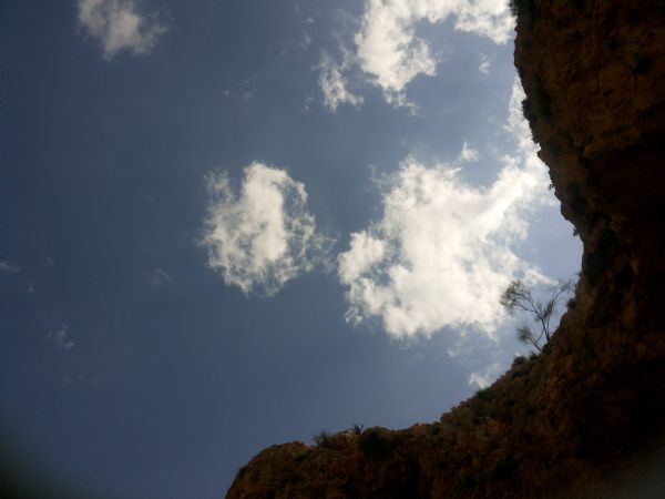 ��� ������: ����� ����� ���� ����� ����� ������� ����